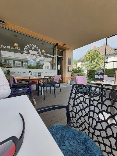 Café Zeitlos photo 4